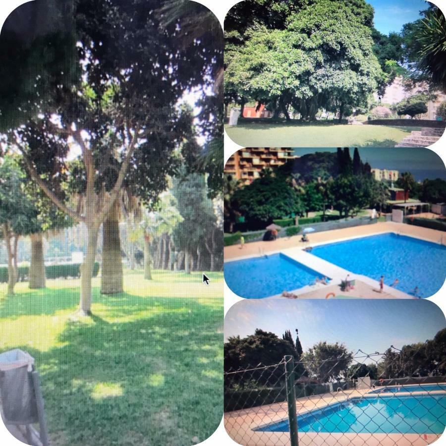 Apartamento Apartamento Con Aire Acondicionado+jardín Y Piscina *